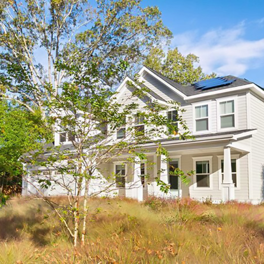 Modern Meadow Garden